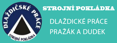 Primary Raster logo